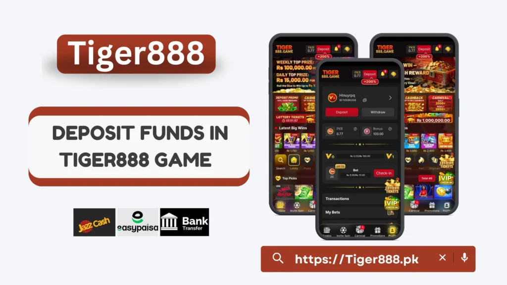 Tiger888 Deposit Options for Pakistani Users